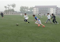 国际部：绿茵点亮梦想，激情舞动青春