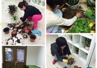 国际部：美丽世界，幸福生活