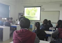 国际部：国高部举办化学探究性学习活动