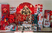 春风送暖迎新季，双语学子逐梦行