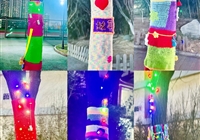 暖树御冬，情系校园   ——“为大树穿冬衣”主题教育活动纪实