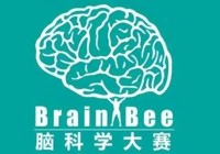 喜报|祝贺我校国际部周一鸣同学在2025年Brain Bee脑科学大赛中荣获全国一等奖!