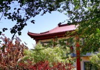 关于美，他们有很多「画」要说
