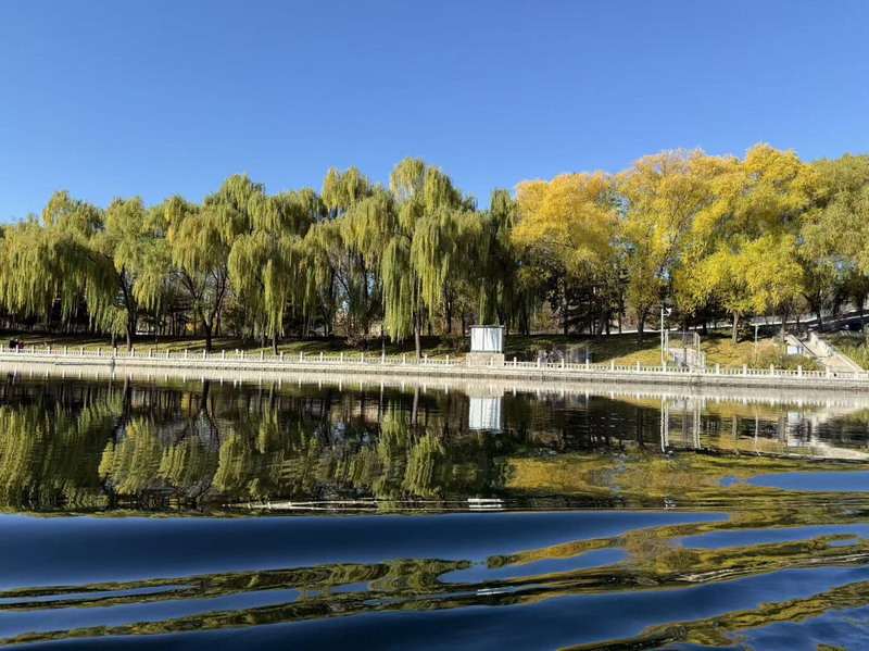 mmexport1763017975463